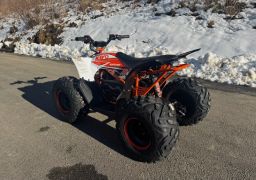 E-Quad Kayo eA 110 2100 Watt 48 Volt